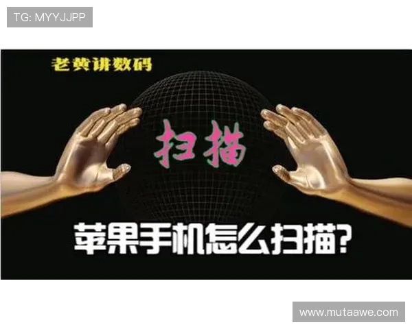 天博集团app新增多项便民功能,助力用户轻松管理财务与生活事务