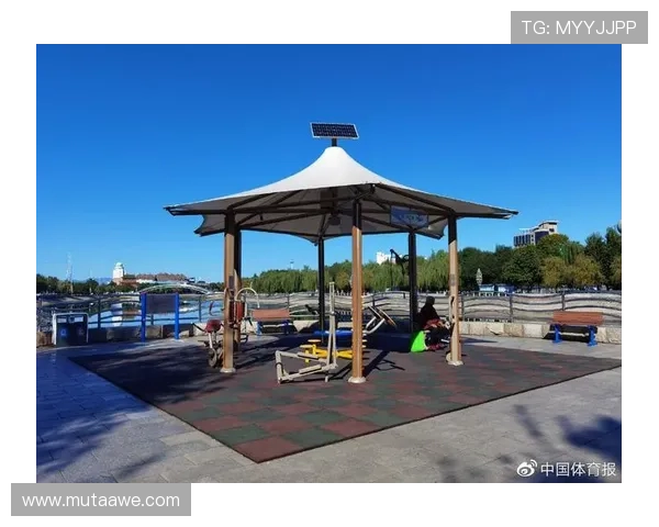 好博体育app官方网站在推动全民健身运动中的重要作用与贡献